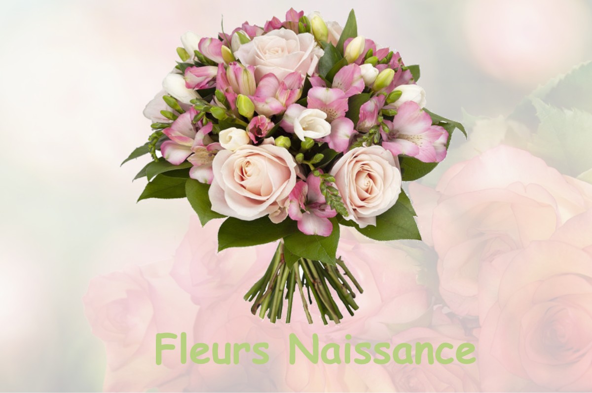 fleurs naissance RAISSAC-D-AUDE